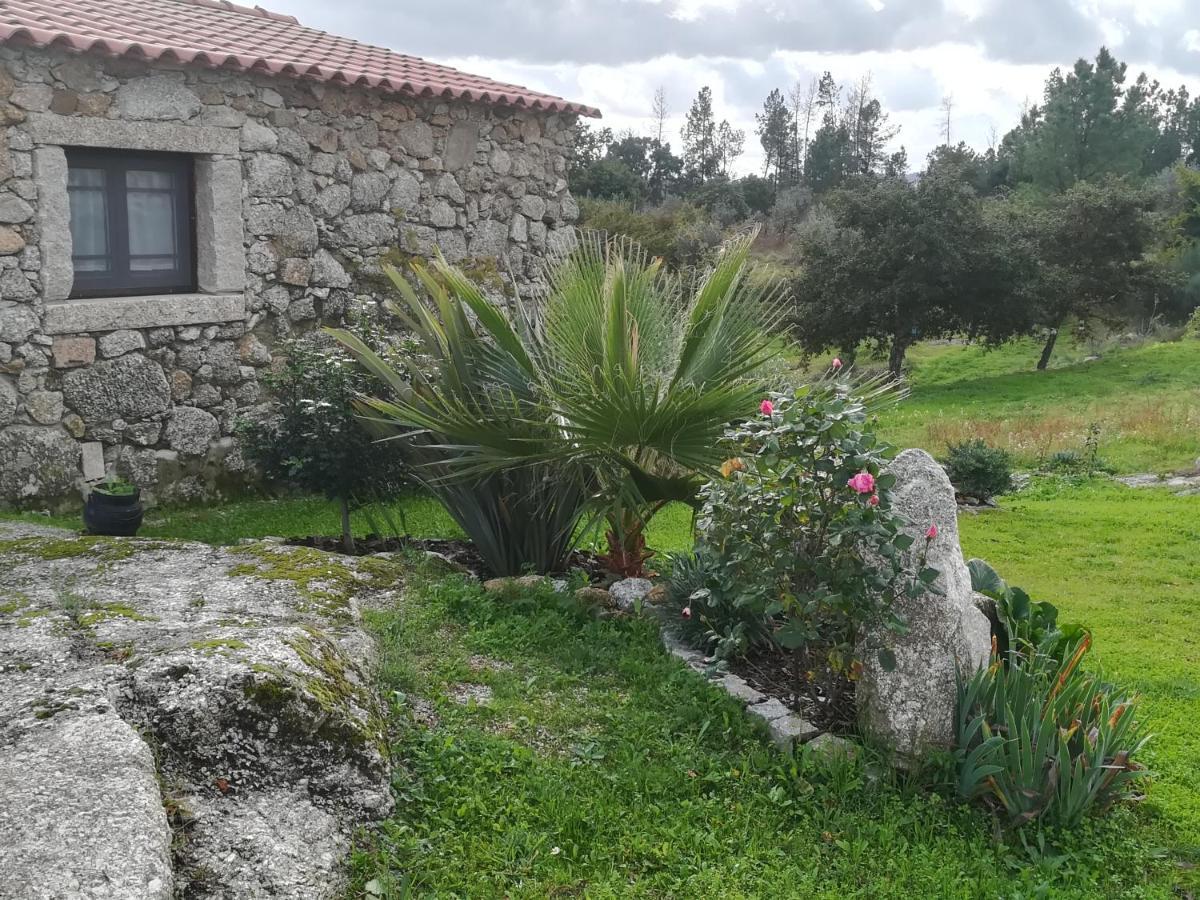 Eiras Do Dao Hotell Penalva do Castelo Eksteriør bilde